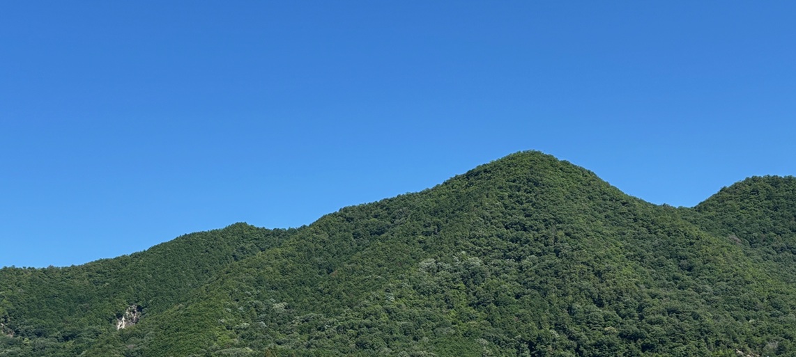 あいさつ